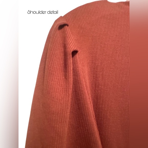 NWOT Women’s Plus A Line V Neck Short Sleeved Stretch Knit Dress Size XXL Brown - Picture 3 of 5